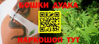 гидропоника Изобильный