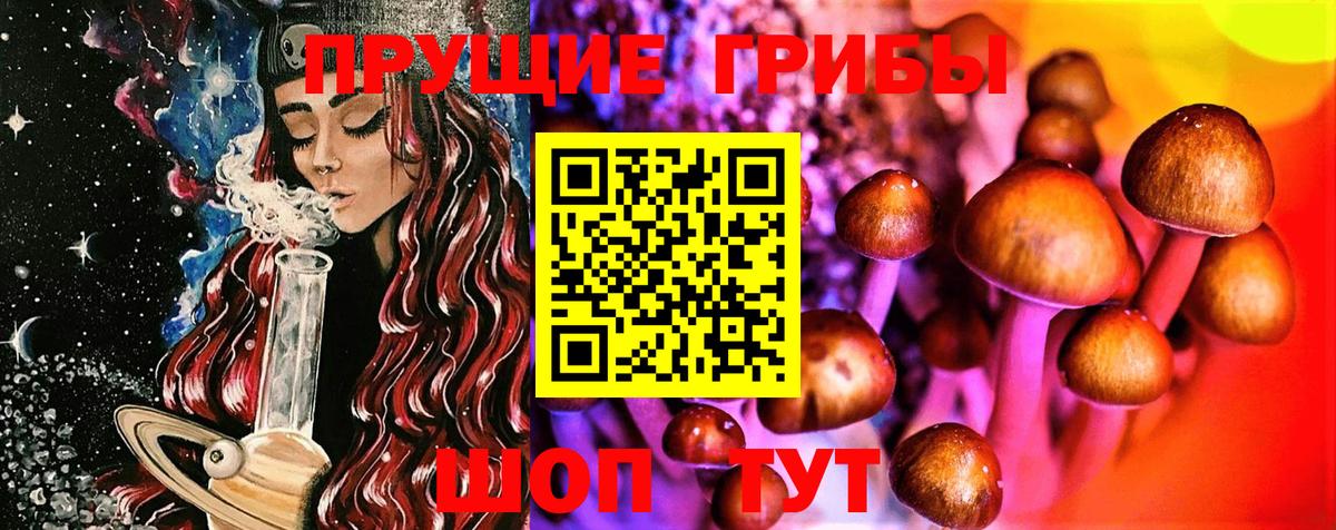 Галлюциногенные грибы ЛСД Магадан