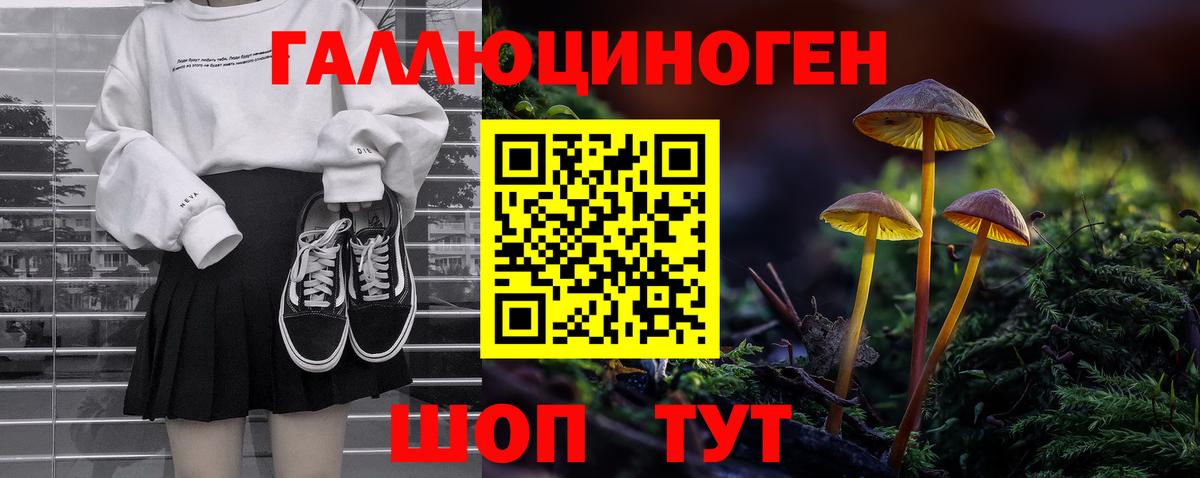 Псилоцибиновые грибы Psilocybine cubensis  Вход с VPN  Магадан 